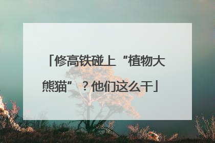 修高铁碰上“植物大熊猫”?他们这么干