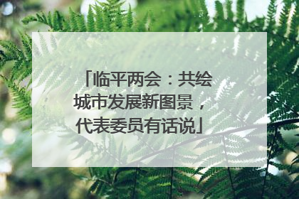 临平两会：共绘城市发展新图景，代表委员有话说