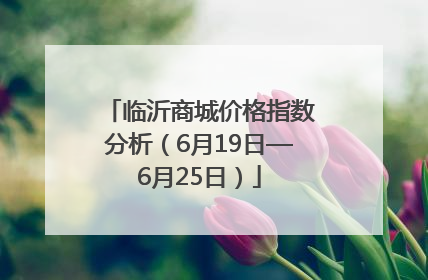 临沂商城价格指数分析（6月19日—6月25日）