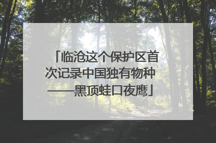 临沧这个保护区首次记录中国独有物种——黑顶蛙口夜鹰