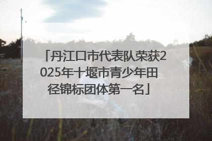 丹江口市代表队荣获2025年十堰市青少年田径锦标团体第一名