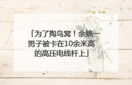 为了掏鸟窝！余姚一男子被卡在10余米高的高压电线杆上