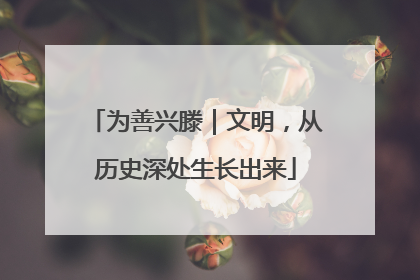 为善兴滕｜文明，从历史深处生长出来