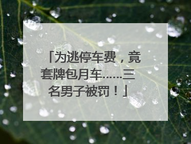 为逃停车费，竟套牌包月车……三名男子被罚！