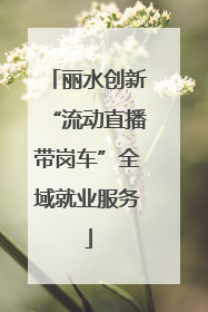 丽水创新“流动直播带岗车”全域就业服务