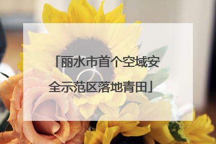 丽水市首个空域安全示范区落地青田