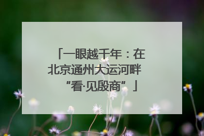 一眼越千年：在北京通州大运河畔“看·见殷商”