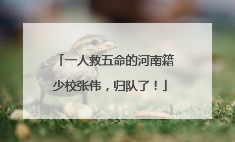 一人救五命的河南籍少校张伟，归队了！