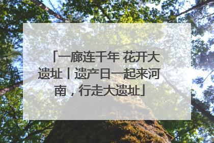 一廊连千年 花开大遗址丨遗产日一起来河南，行走大遗址