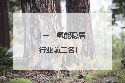 三一氢能稳居行业前三名