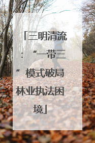 三明清流：“一带三”模式破局林业执法困境