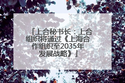 上合秘书长：上合组织将通过《上海合作组织至2035年发展战略》