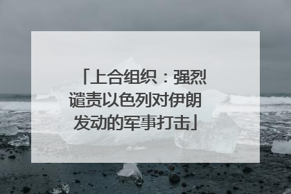 上合组织：强烈谴责以色列对伊朗发动的军事打击