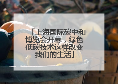 上海国际碳中和博览会开幕，绿色低碳技术这样改变我们的生活