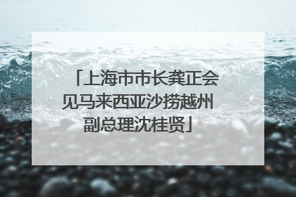 上海市市长龚正会见马来西亚沙捞越州副总理沈桂贤