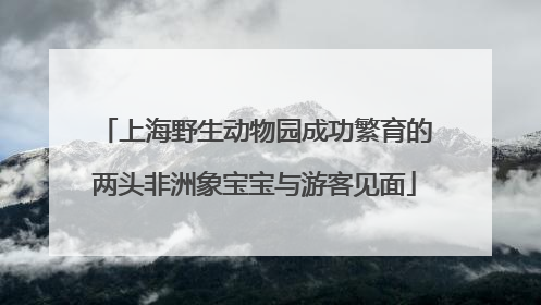 上海野生动物园成功繁育的两头非洲象宝宝与游客见面