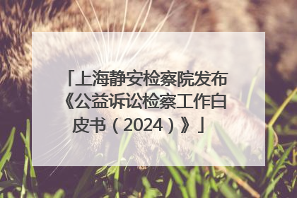 上海静安检察院发布《公益诉讼检察工作白皮书（2024）》