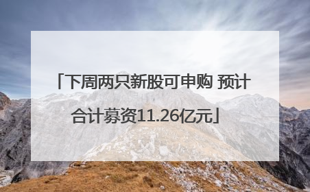 下周两只新股可申购 预计合计募资11.26亿元