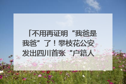 不用再证明“我爸是我爸”了！攀枝花公安发出四川首张“户籍人口直系亲属关系谱”