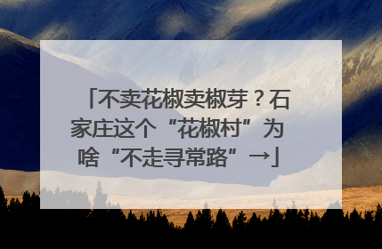 不卖花椒卖椒芽？石家庄这个“花椒村”为啥“不走寻常路”→