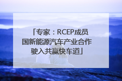 专家：RCEP成员国新能源汽车产业合作驶入共赢快车道