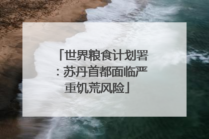 世界粮食计划署：苏丹首都面临严重饥荒风险