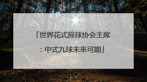 世界花式撞球协会主席：中式九球未来可期