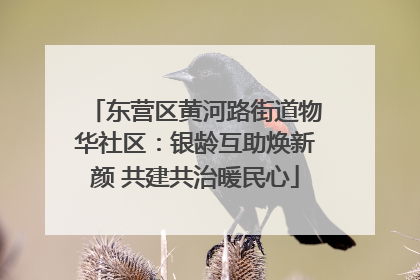 东营区黄河路街道物华社区：银龄互助焕新颜 共建共治暖民心