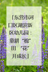 东营市河口区湖滨新区幼儿园：童耕“棉”田 “花”开成长