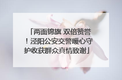 两面锦旗 双倍赞誉！泾阳公安交警暖心守护收获群众真情致谢