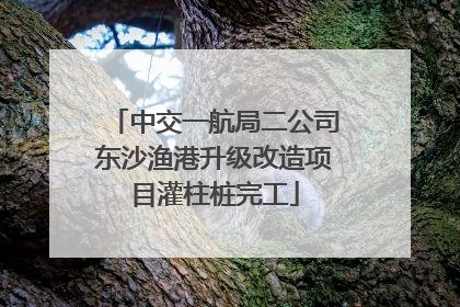 中交一航局二公司东沙渔港升级改造项目灌柱桩完工