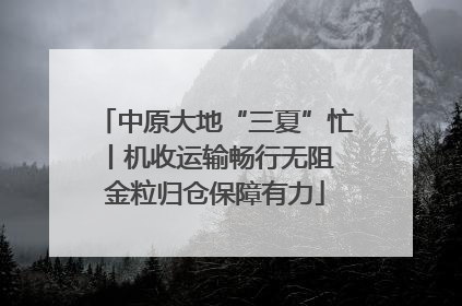 中原大地“三夏”忙丨机收运输畅行无阻 金粒归仓保障有力