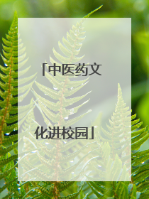 中医药文化进校园