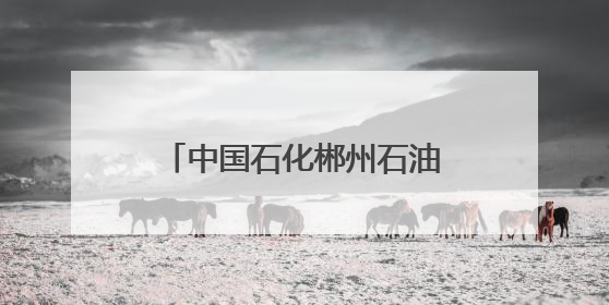 中国石化郴州石油开展2025年六五环境日系列活动