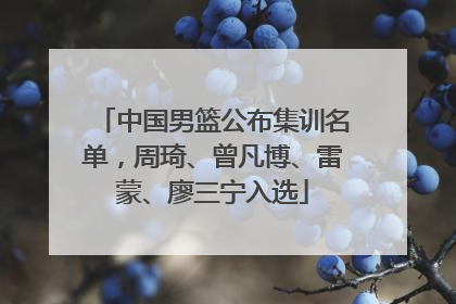 中国男篮公布集训名单，周琦、曾凡博、雷蒙、廖三宁入选