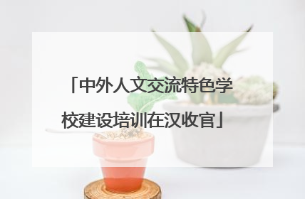 中外人文交流特色学校建设培训在汉收官