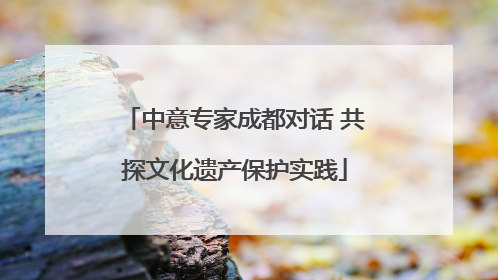 中意专家成都对话 共探文化遗产保护实践