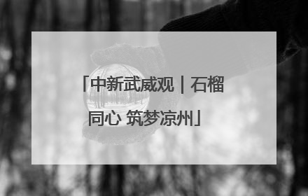 中新武威观｜石榴同心 筑梦凉州