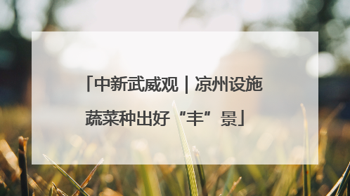 中新武威观｜凉州设施蔬菜种出好“丰”景