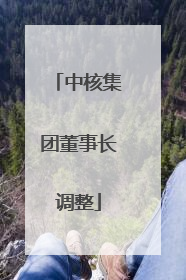 中核集团董事长调整