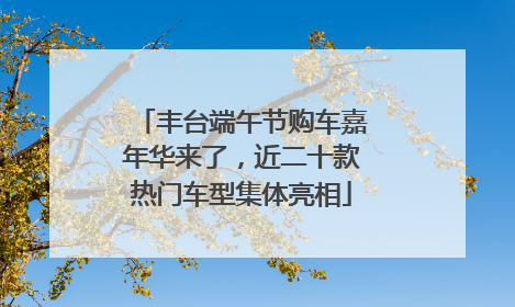 丰台端午节购车嘉年华来了，近二十款热门车型集体亮相