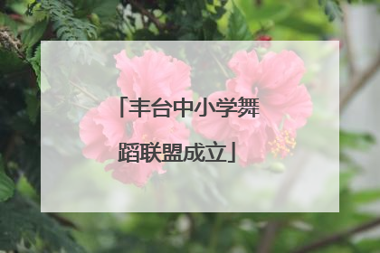 丰台中小学舞蹈联盟成立