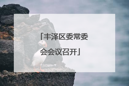 丰泽区委常委会会议召开