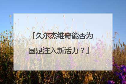 久尔杰维奇能否为国足注入新活力？