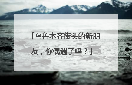 乌鲁木齐街头的新朋友，你偶遇了吗？