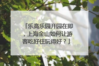 乐高乐园开园在即，上海金山如何让游客吃好住玩得好？