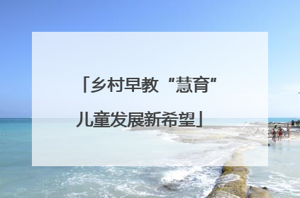 乡村早教“慧育”儿童发展新希望