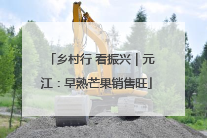 乡村行 看振兴｜元江：早熟芒果销售旺