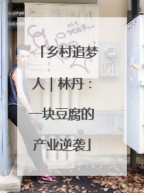 乡村追梦人｜林丹：一块豆腐的产业逆袭
