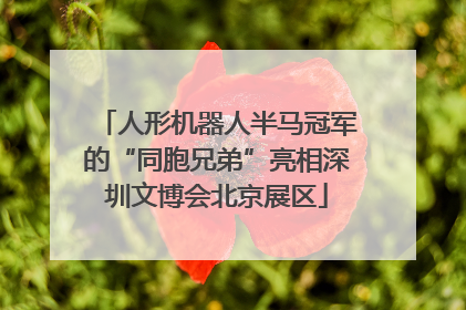 人形机器人半马冠军的“同胞兄弟”亮相深圳文博会北京展区
